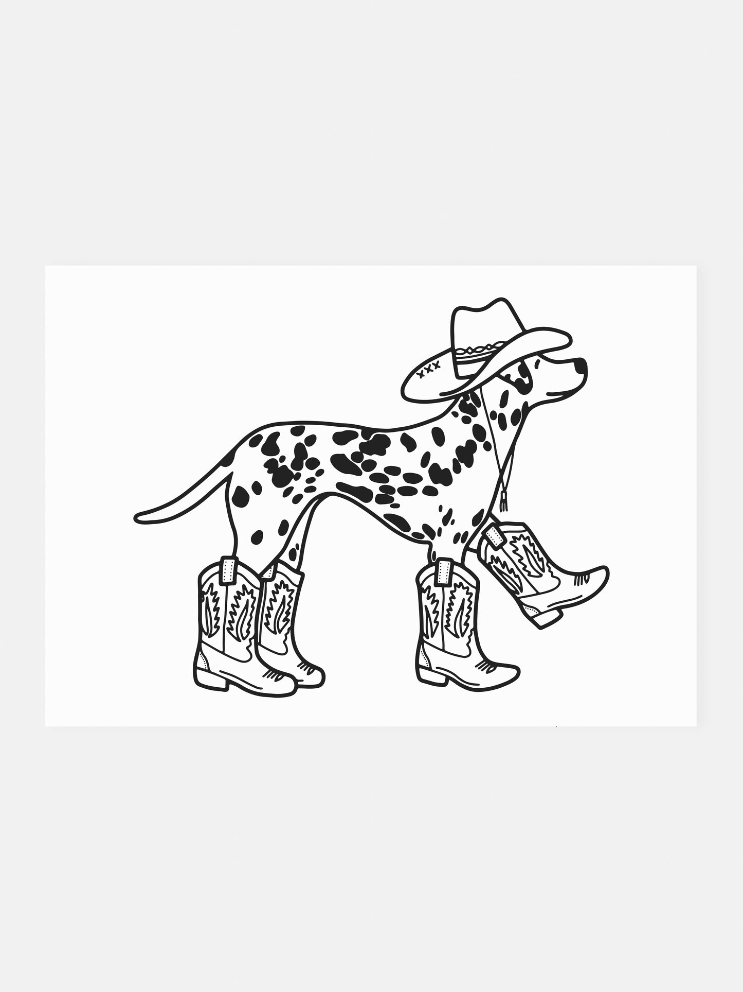 Postcard Dalmatian